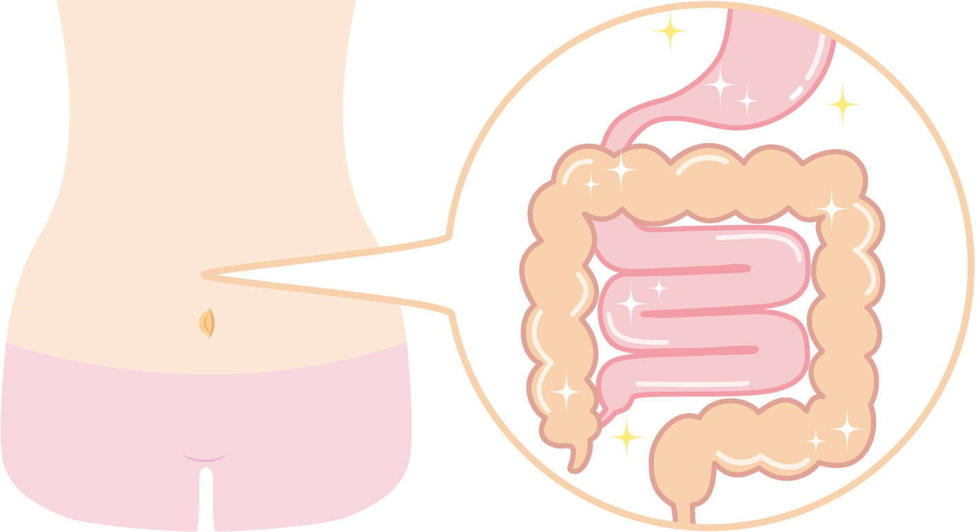腸活レシピで免疫力アップ